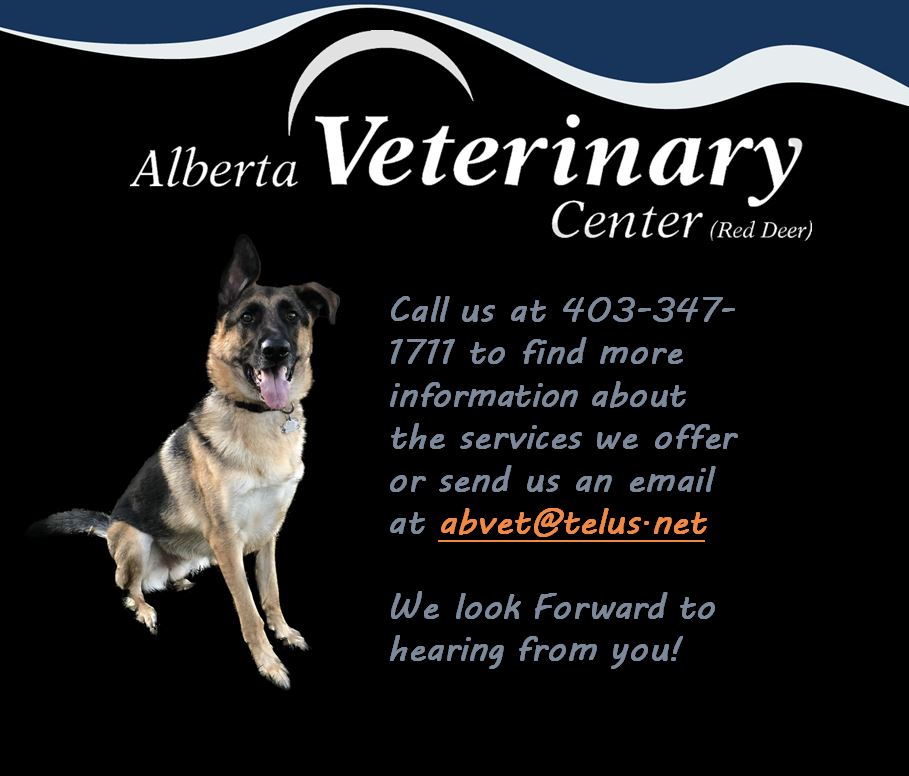 Alberta Veterinary Center The Pet Event